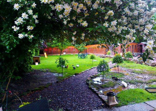 catteries merseyside