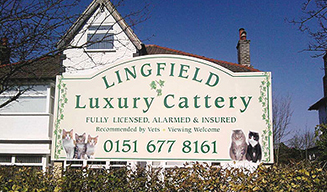 cattery wirral